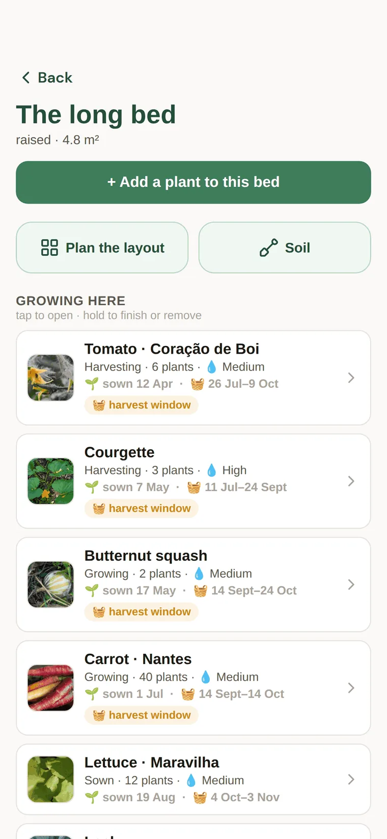 The long bed: tomato, courgette, butternut squash, carrot and lettuce, each with status and harvest window.